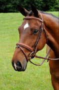 Load image into Gallery viewer, Arc de Triomphe Starman Bridle w/Raised Laced Reins Crank Stud Brown
