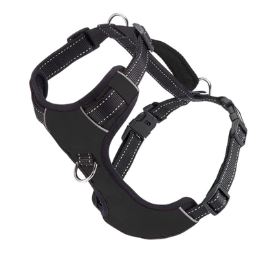 Bay Dog Chesapeake Harness