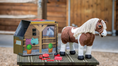 Load image into Gallery viewer, LeMieux® Toy Pony-Flash
