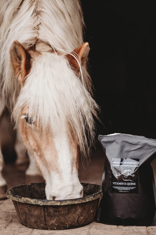 Natural Equine Essentials Vita E Plus