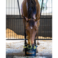 Load image into Gallery viewer, Equine Elixirs CHUG® Equine Hydration
