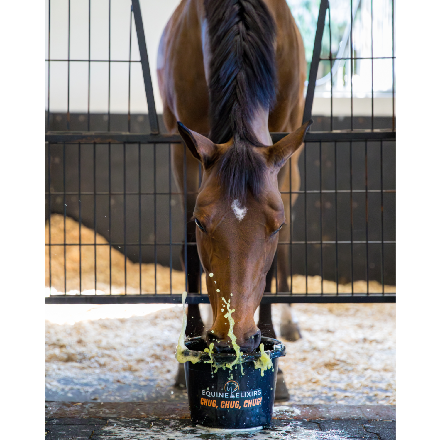 Equine Elixirs CHUG® Equine Hydration