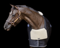 Load image into Gallery viewer, EquiFit  BlanketBib
