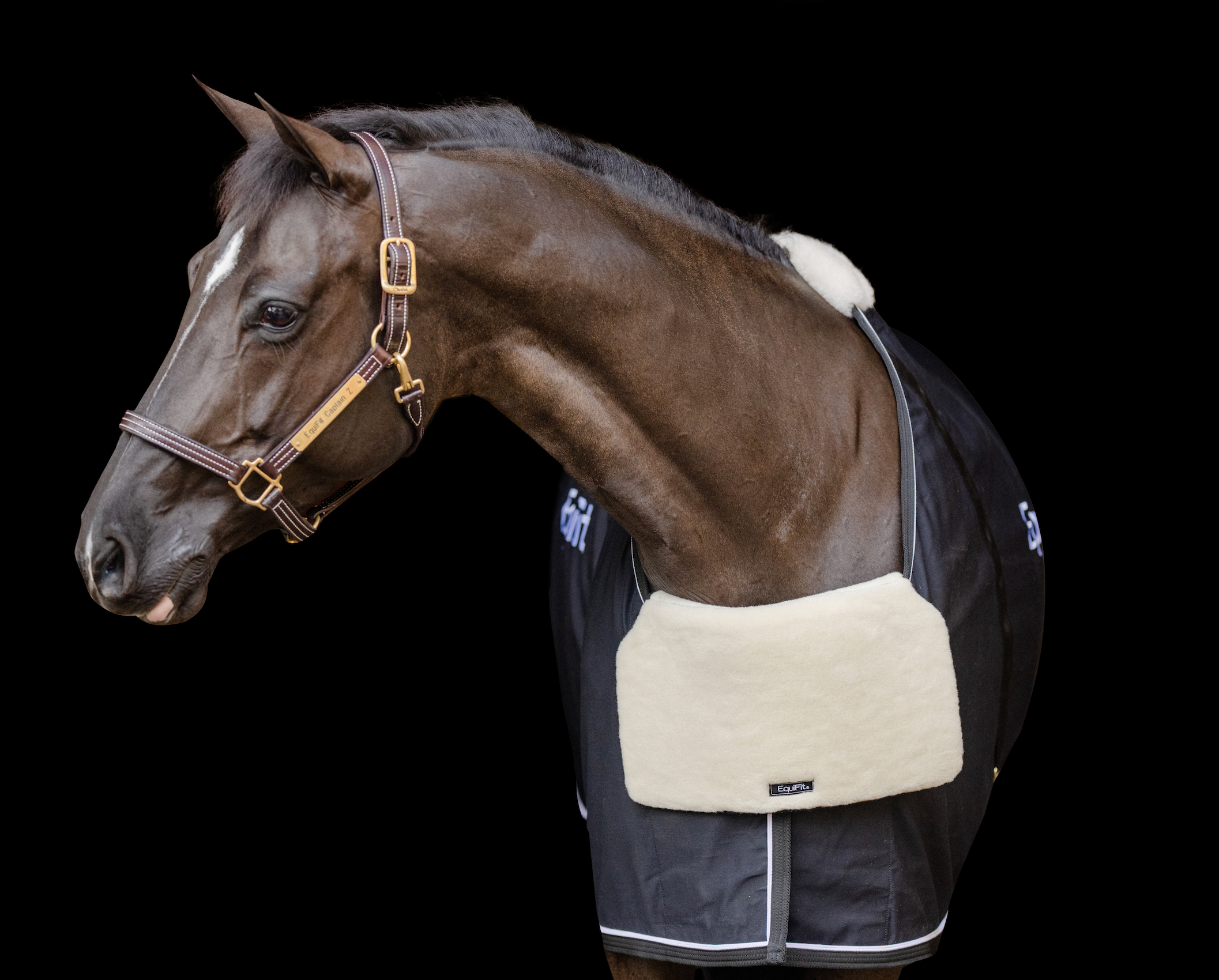 EquiFit  BlanketBib