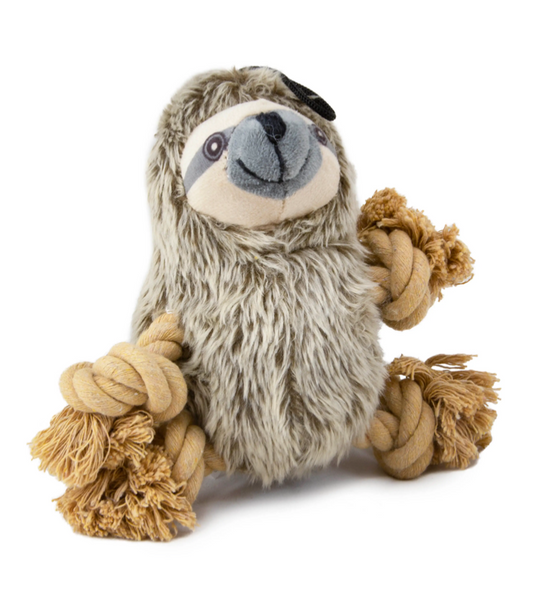 Roper Prairie Sloth
