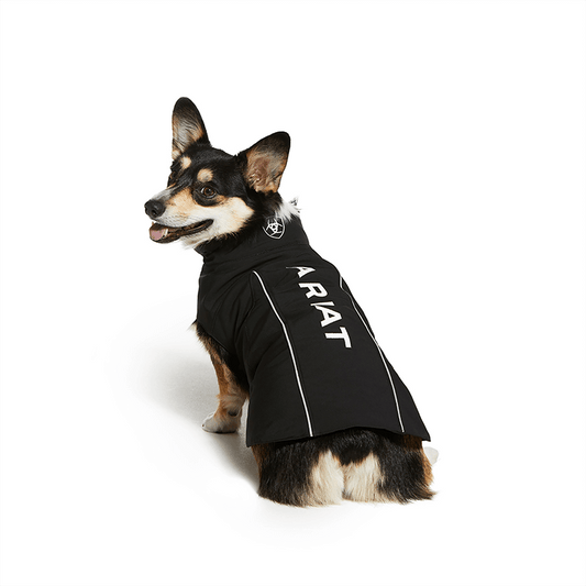 ARIAT Team Softshell Dog Jacket