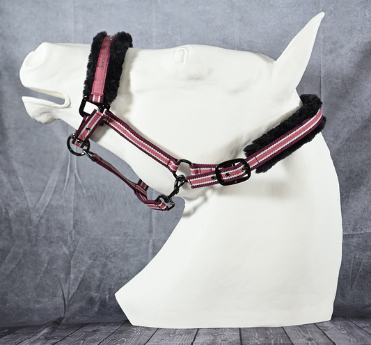 Cavallo Helia Halter