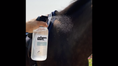 Load image into Gallery viewer, The Infused Equestrian Wham Bam. A Coat Spray Repellent
