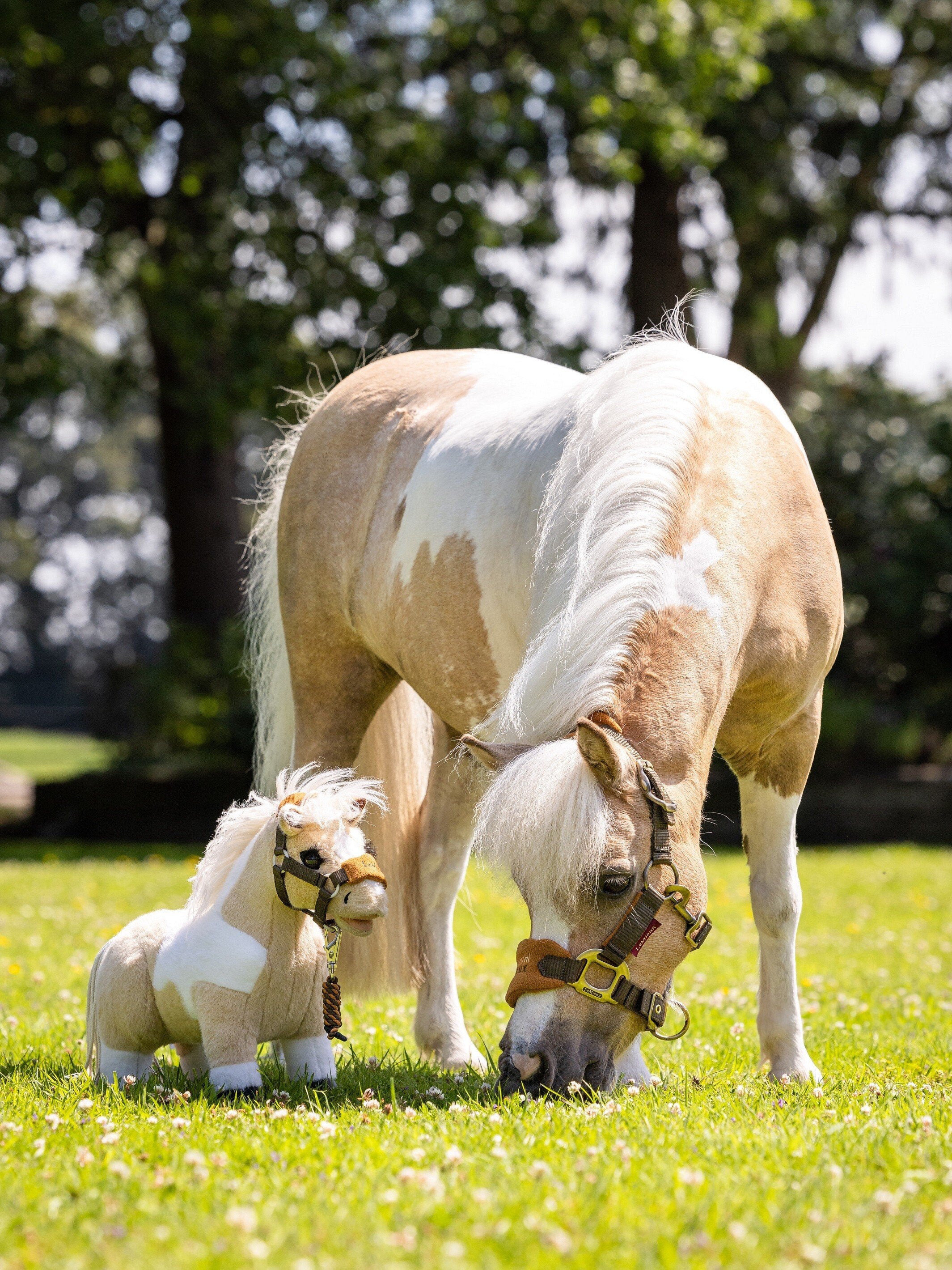LeMieux® Toy Pony-Lemon