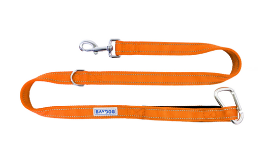 Bay Dog Hudson Leash 6 Ft