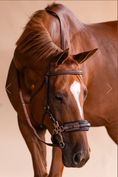 Load image into Gallery viewer, Arc de Triomphe Hackamore Bridle w/Stainless Steel Shanks & Calfskin Covered Reins
