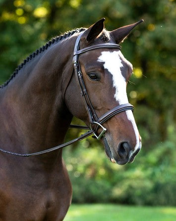 Black Oak Laurel Hunter Bridle