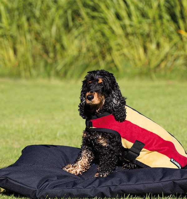 Rambo Deluxe Dog Coat – Alorian Saddlery