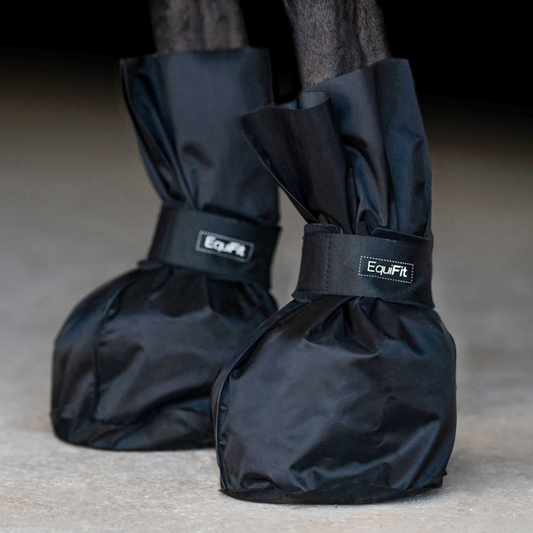 EquiFit   HoofIce