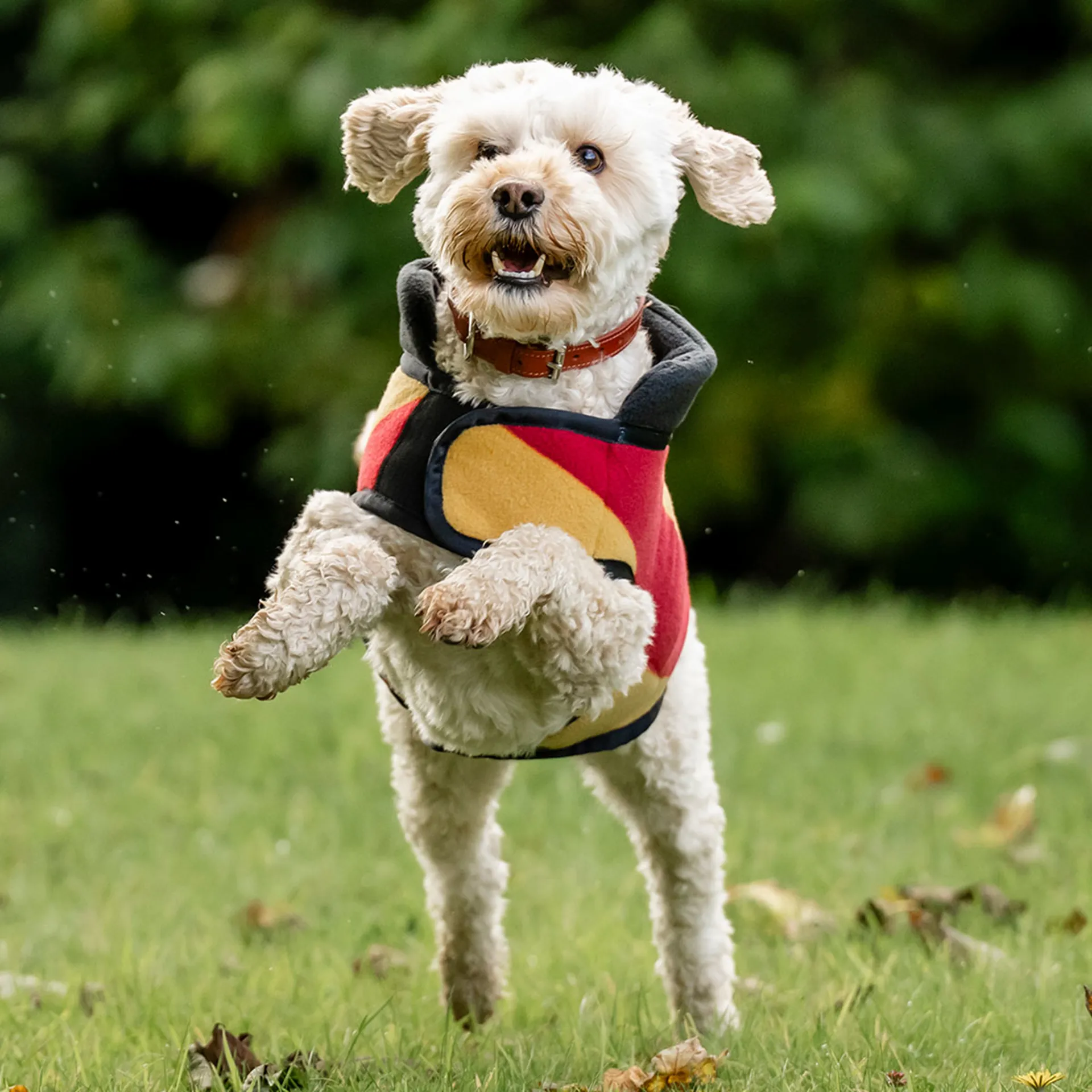 Horseware® Newmarket Dog Fleece