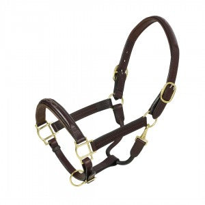 Aramas Fancy Raised Padded Halter with Brass Snaps