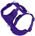 Load image into Gallery viewer, Chesapeake Harness Purple 1
