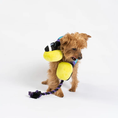 Load image into Gallery viewer, Headphones Dog Toy
