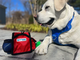 Load image into Gallery viewer, Bay Dog Pack-N-Go Treat Pouch
