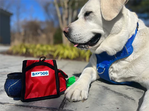 Bay Dog Pack-N-Go Treat Pouch