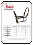 Load image into Gallery viewer, Walsh Showman Halter
