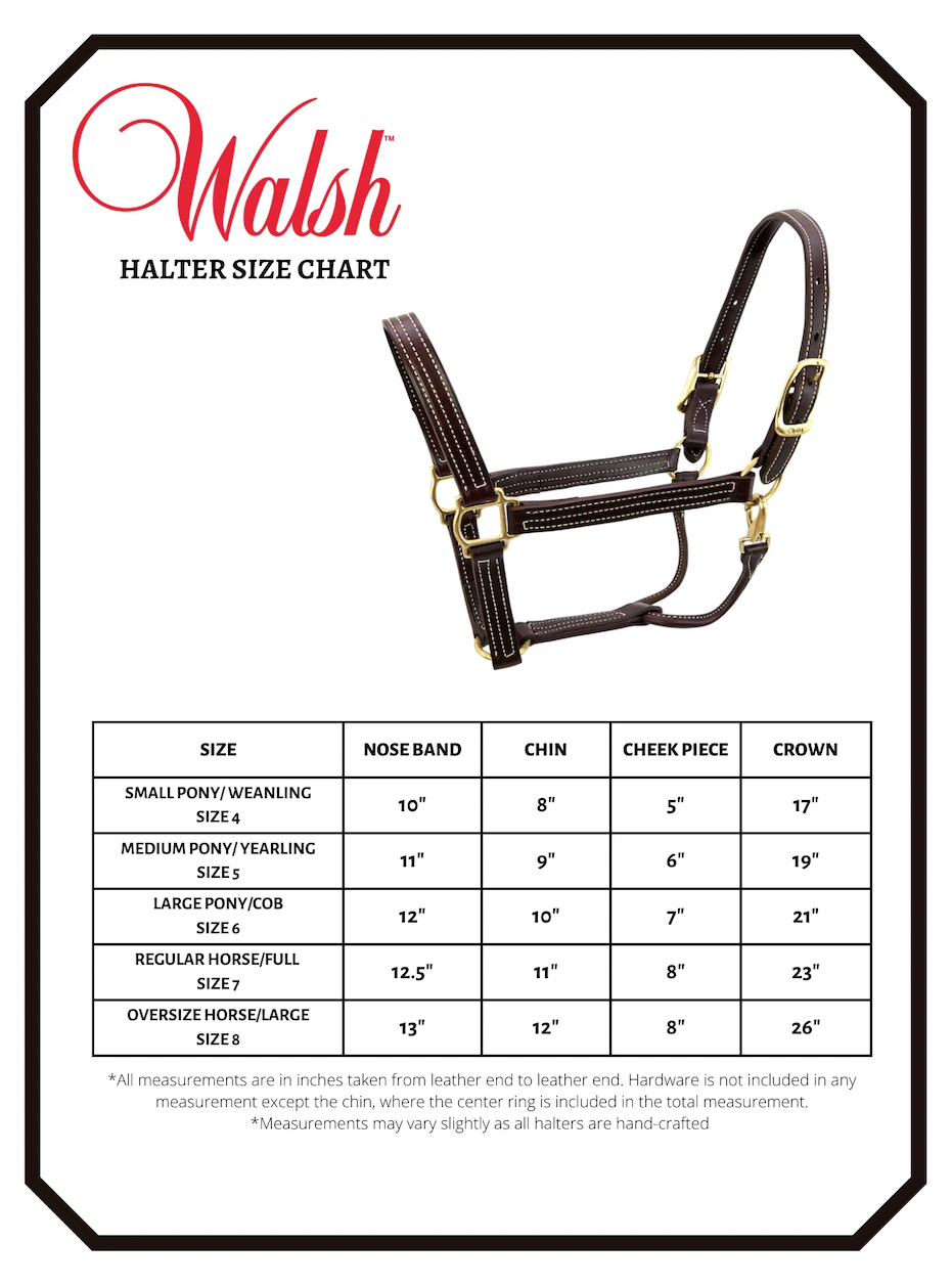 Walsh Showman Halter