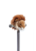 Load image into Gallery viewer, Lion Scooter Head - Wild & Soft
