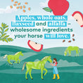 Load image into Gallery viewer, Honest to Goodness Upcycled Horse Treats - Apple - 2 lbs
